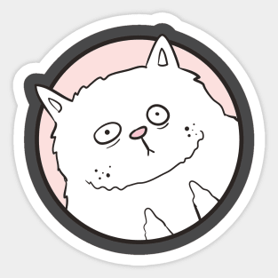 Cat Doesn't Care Sticker